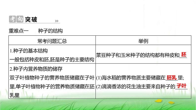 人教版七年级生物上册第二单元综合回顾课件第3页