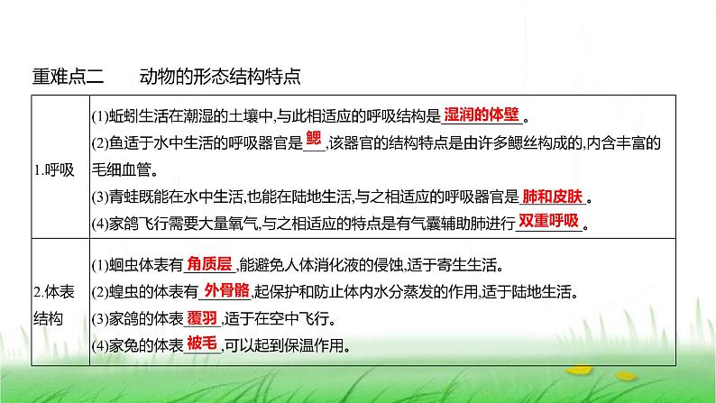 人教版七年级生物上册第二单元综合回顾课件第4页