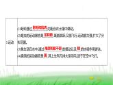 人教版七年级生物上册第二单元综合回顾课件
