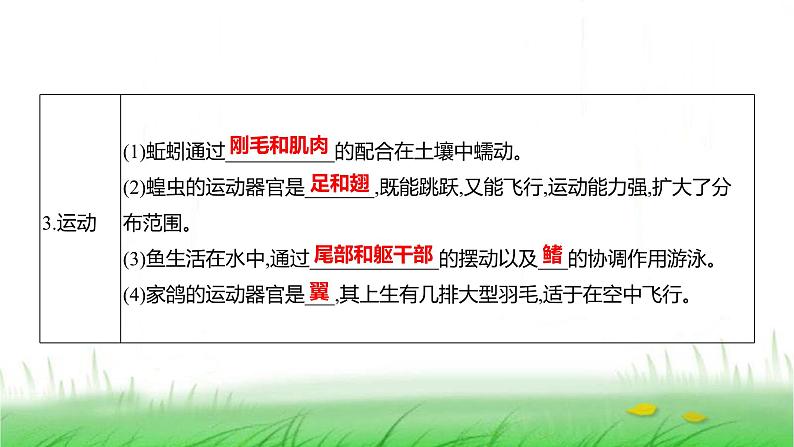 人教版七年级生物上册第二单元综合回顾课件第5页