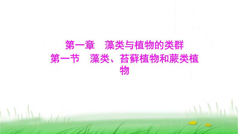 人教版七年级生物上册第二单元第一章第一节藻类、苔藓植物和蕨类植物课件第1页