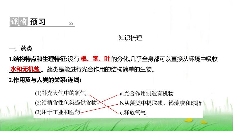 人教版七年级生物上册第二单元第一章第一节藻类、苔藓植物和蕨类植物课件第2页