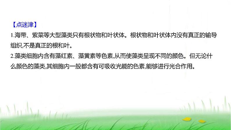 人教版七年级生物上册第二单元第一章第一节藻类、苔藓植物和蕨类植物课件第8页
