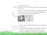 人教版七年级生物上册综合实践项目1制作细胞模型课件