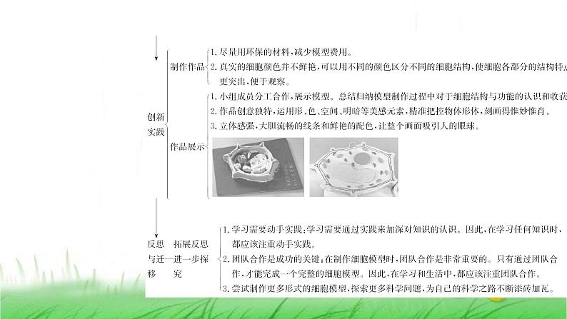 人教版七年级生物上册综合实践项目1制作细胞模型课件第4页