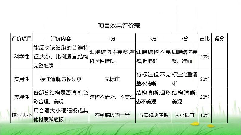 人教版七年级生物上册综合实践项目1制作细胞模型课件第5页