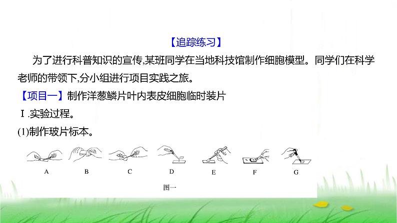 人教版七年级生物上册综合实践项目1制作细胞模型课件第6页