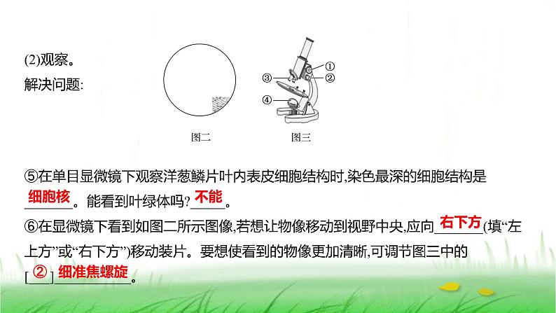 人教版七年级生物上册综合实践项目1制作细胞模型课件第8页