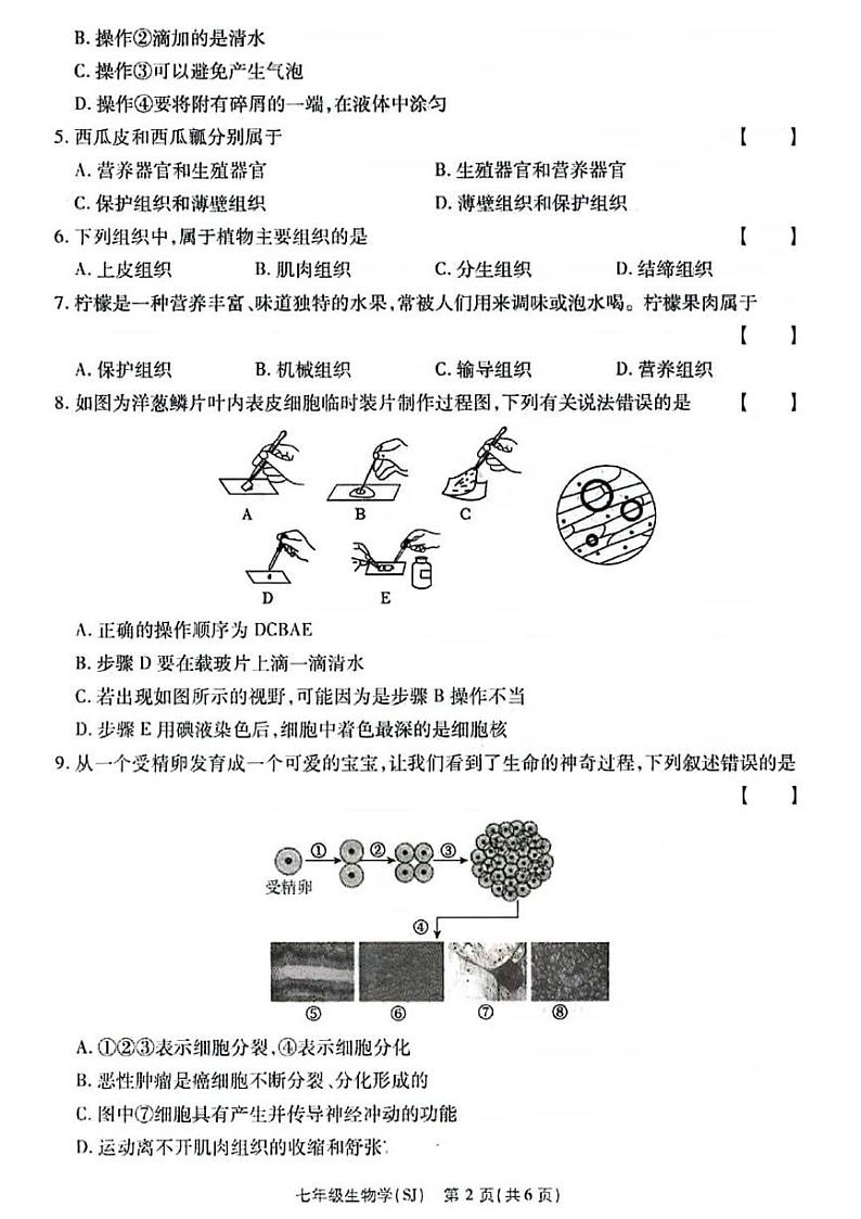 2024秋七年级上学期9月份第一次月考生物试卷及答案（苏教版）第2页