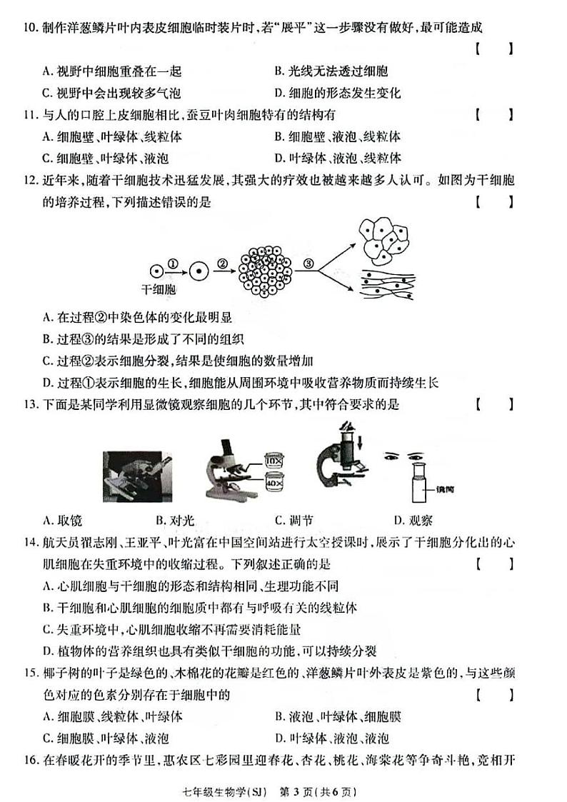 2024秋七年级上学期9月份第一次月考生物试卷及答案（苏教版）第3页
