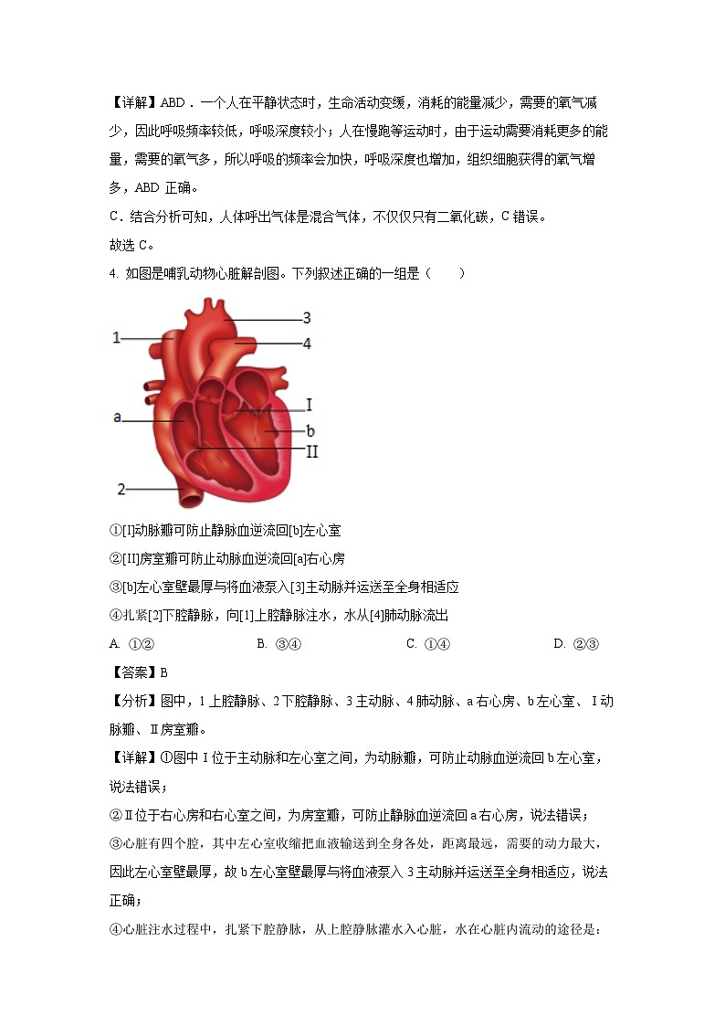 [生物]内蒙古金霍洛旗2022-2023学年七年级下学期期末试题(解析版)03
