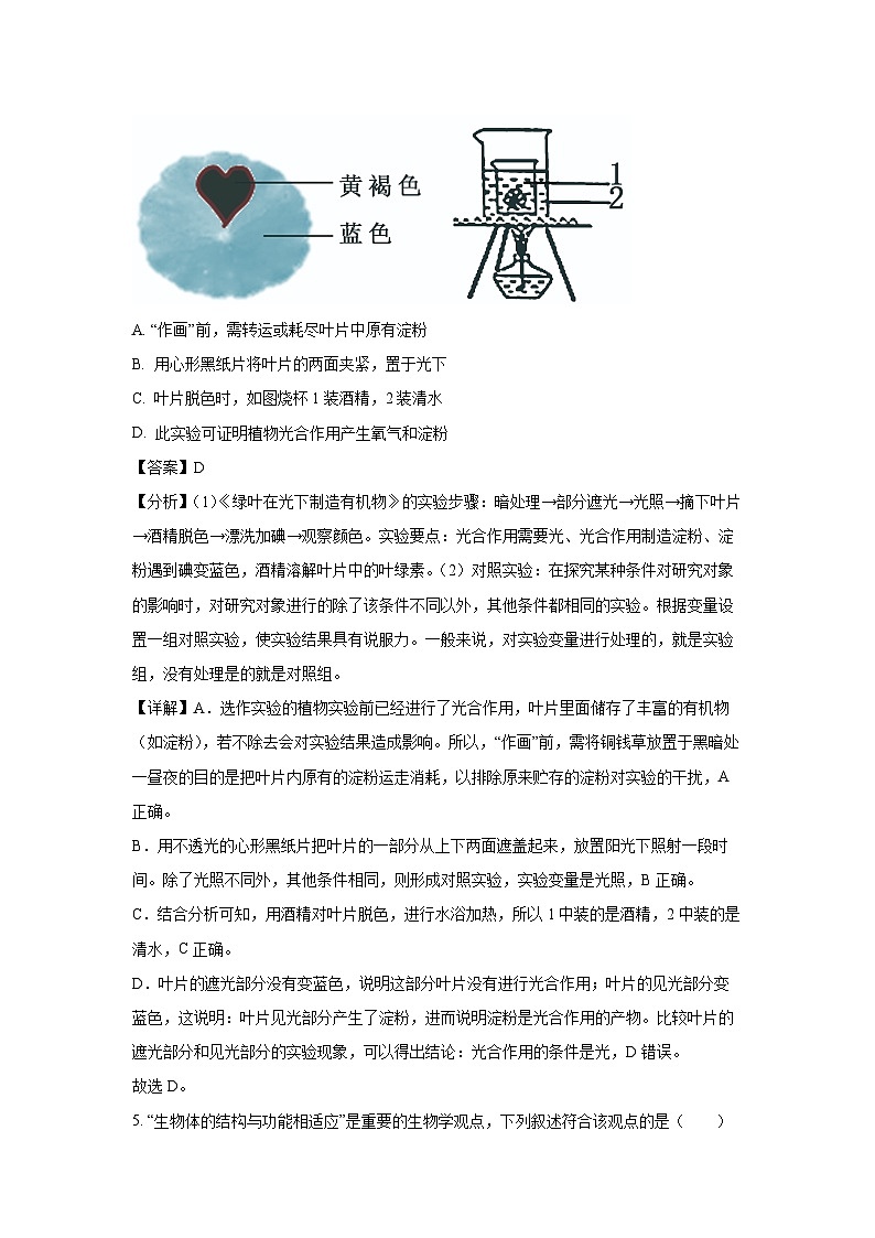[生物]山西省晋中市介休市2023-2024学年八年级下学期期中试题(解析版)第3页