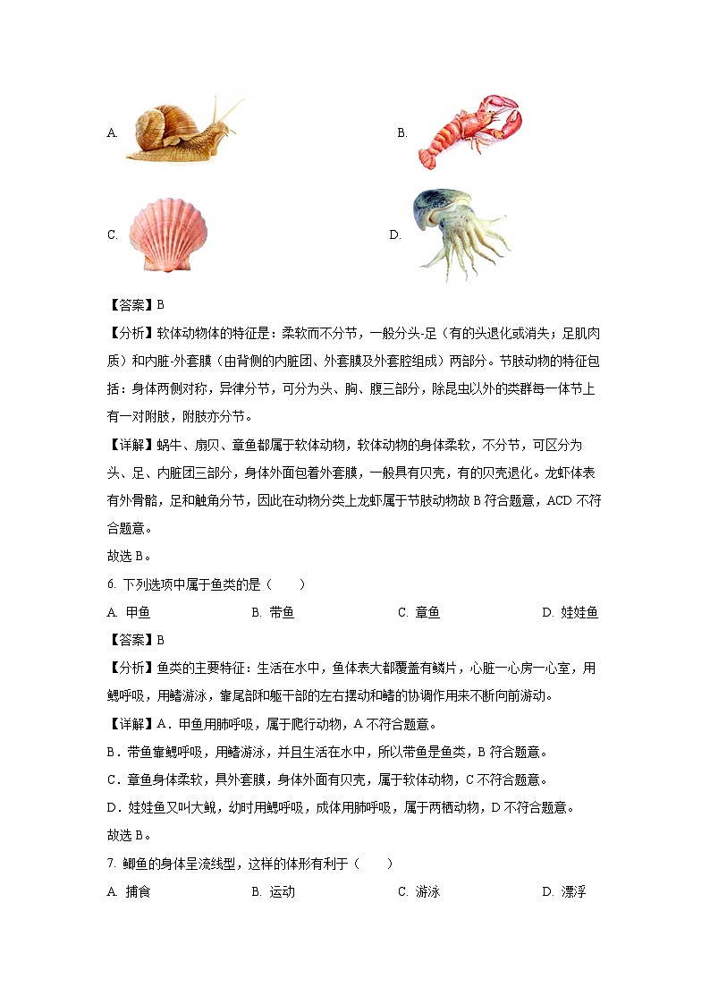[生物]福建省三明市宁化县2023-2024学年八年级上学期期中试题(解析版)第3页