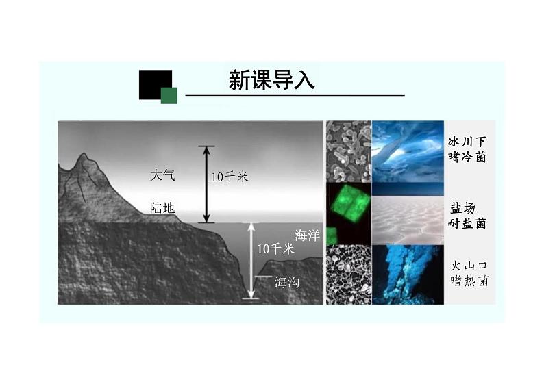 细菌课件人教版生物八年级上册第3页