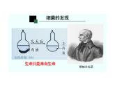 细菌课件人教版生物八年级上册