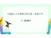 鸟课件人教版八年级生物上册第五单元生物圈中的其他生物第一章动物的主要类群