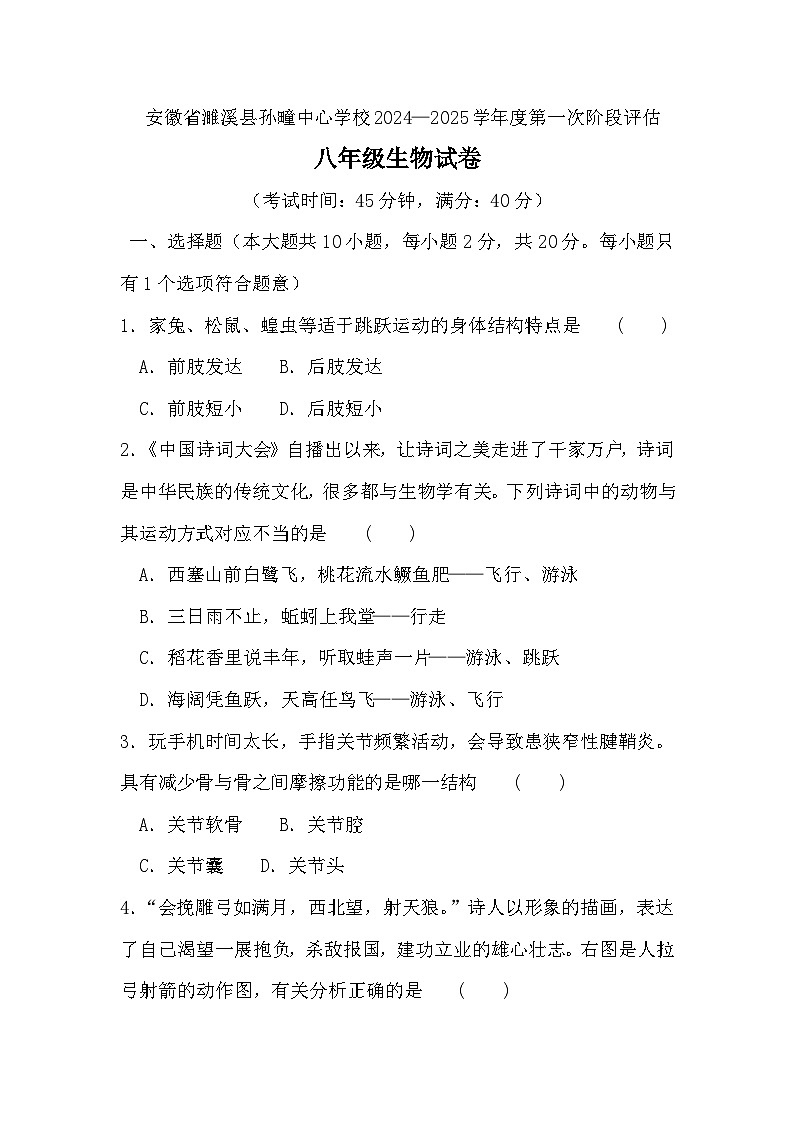 安徽省淮北市濉溪县孙疃中心学校2024-2025学年八年级上学期9月月考生物试题第1页