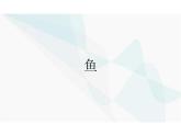 5.1.4鱼 课件 人教版 八年级上册生物学
