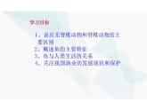5.1.4鱼 课件 人教版 八年级上册生物学