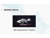5.1.4鱼 课件 人教版 八年级上册生物学