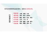 5.1.4鱼 课件 人教版 八年级上册生物学