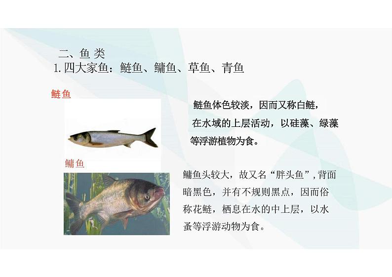 5.1.4鱼 课件 人教版 八年级上册生物学07