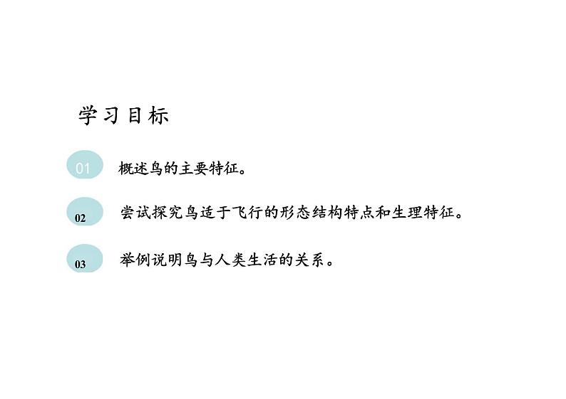 人教版生物八年级上册5.1.6-《鸟》课件03