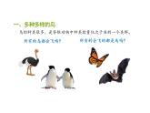 人教版生物八年级上册5.1.6-《鸟》课件