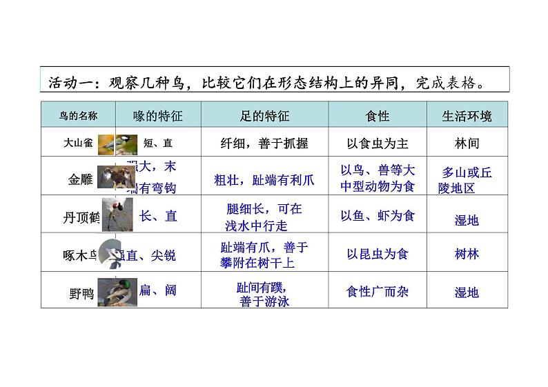 人教版生物八年级上册5.1.6-《鸟》课件06