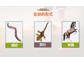 人教版生物八年级上册5.2.1《动物的运动》 课件