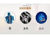 人教版生物八年级上册5.2.1《动物的运动》 课件