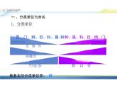 6.1.2从种到界课件人教版生物八年级上册