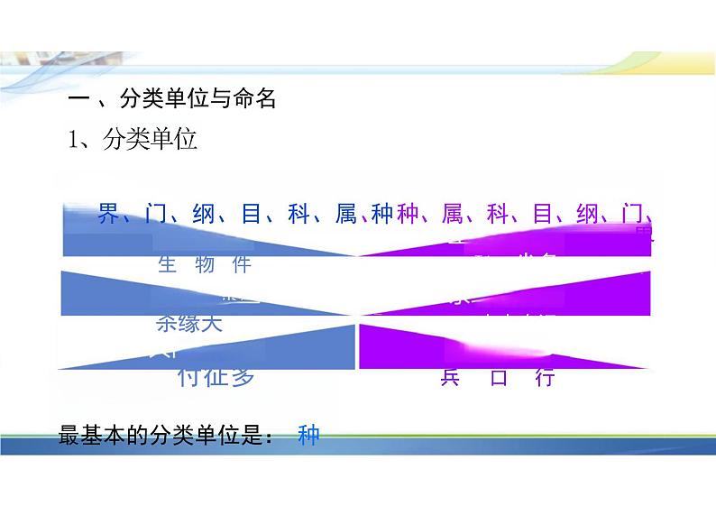 6.1.2从种到界课件人教版生物八年级上册第2页