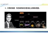 6.1.2从种到界课件人教版生物八年级上册