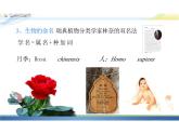 6.1.2从种到界课件人教版生物八年级上册