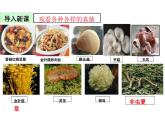 5.4.3 真菌 课件 人教版生物八年级上册