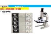 5.4.3 真菌 课件 人教版生物八年级上册