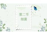 5.4.2细菌 课件 人教版生物八年级上册