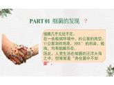 5.4.2细菌 课件 人教版生物八年级上册