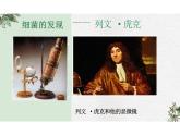5.4.2细菌 课件 人教版生物八年级上册