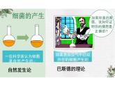5.4.2细菌 课件 人教版生物八年级上册
