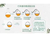 5.4.2细菌 课件 人教版生物八年级上册