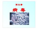 新人教版八年级生物上册第五单元生物圈中的其他生物 第五章  病毒ppt