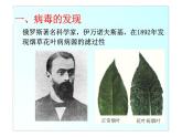 新人教版八年级生物上册第五单元生物圈中的其他生物 第五章  病毒ppt