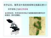 新人教版八年级生物上册第五单元生物圈中的其他生物 第五章  病毒ppt
