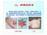 新人教版八年级生物上册第五单元生物圈中的其他生物 第五章  病毒ppt