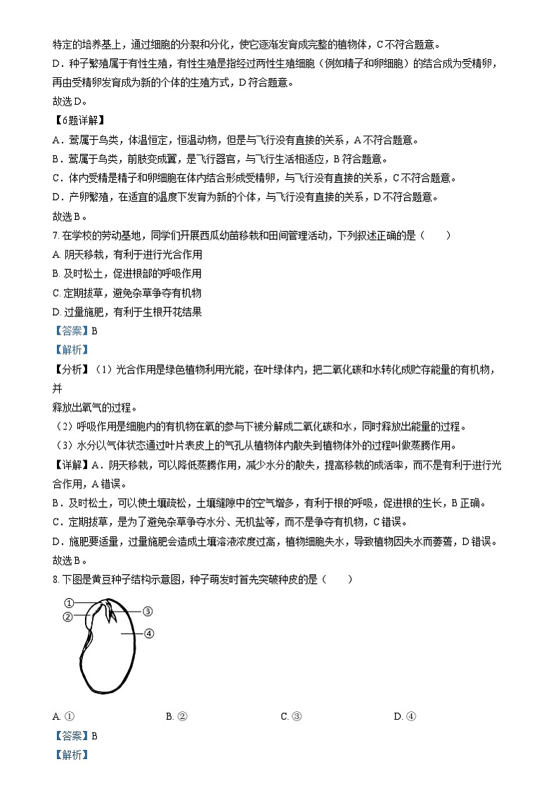 2024年福建省中考生物真题（解析版）第3页