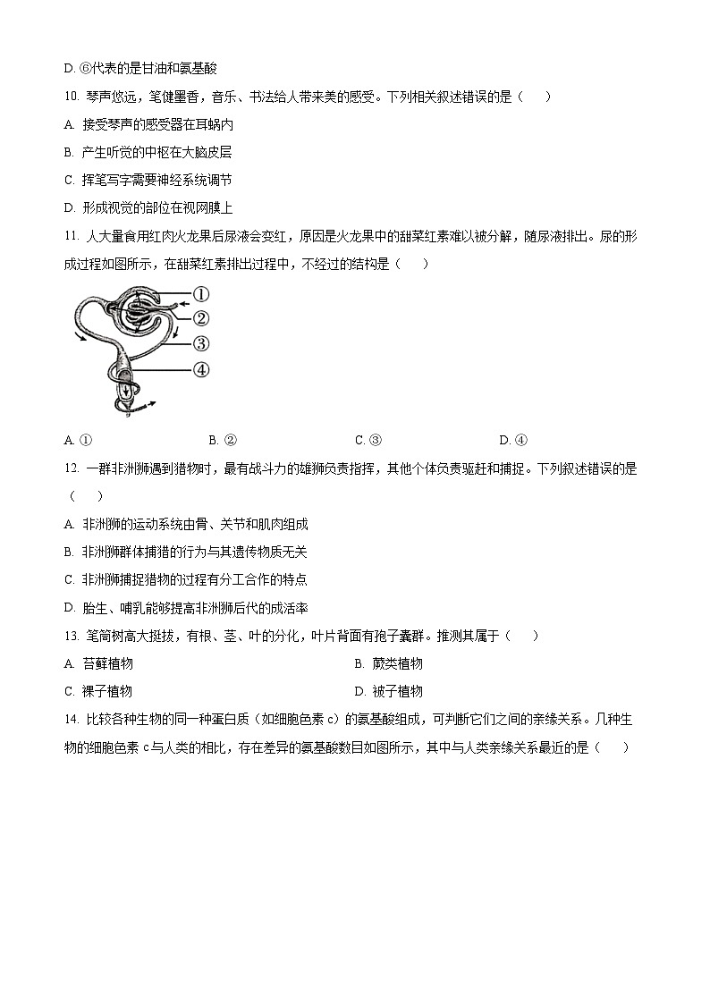 2024年河南省中考生物真题（原卷版）03