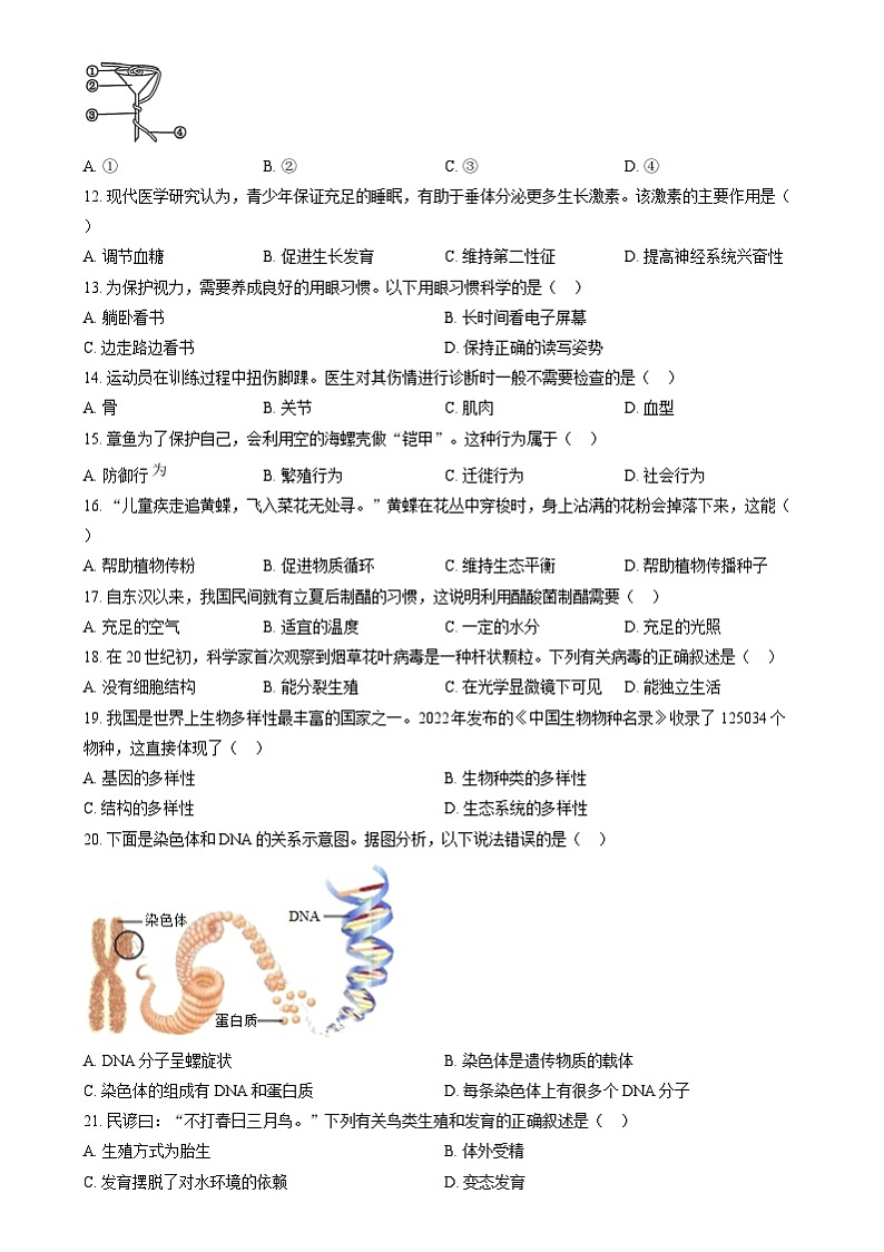2024年湖南省中考生物真题（原卷版）第2页