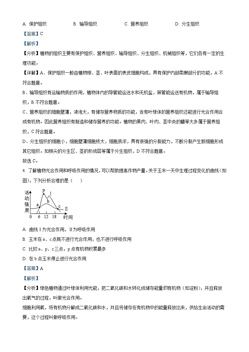 2024年山东省聊城市中考生物真题（解析版）第3页